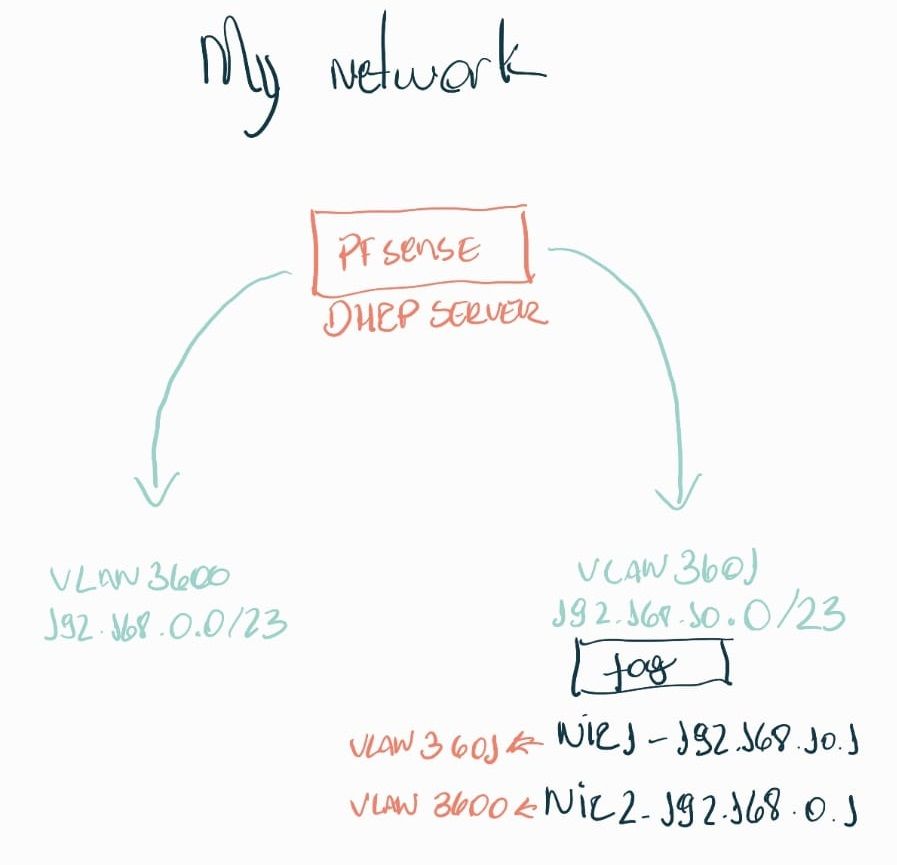 network.jpeg